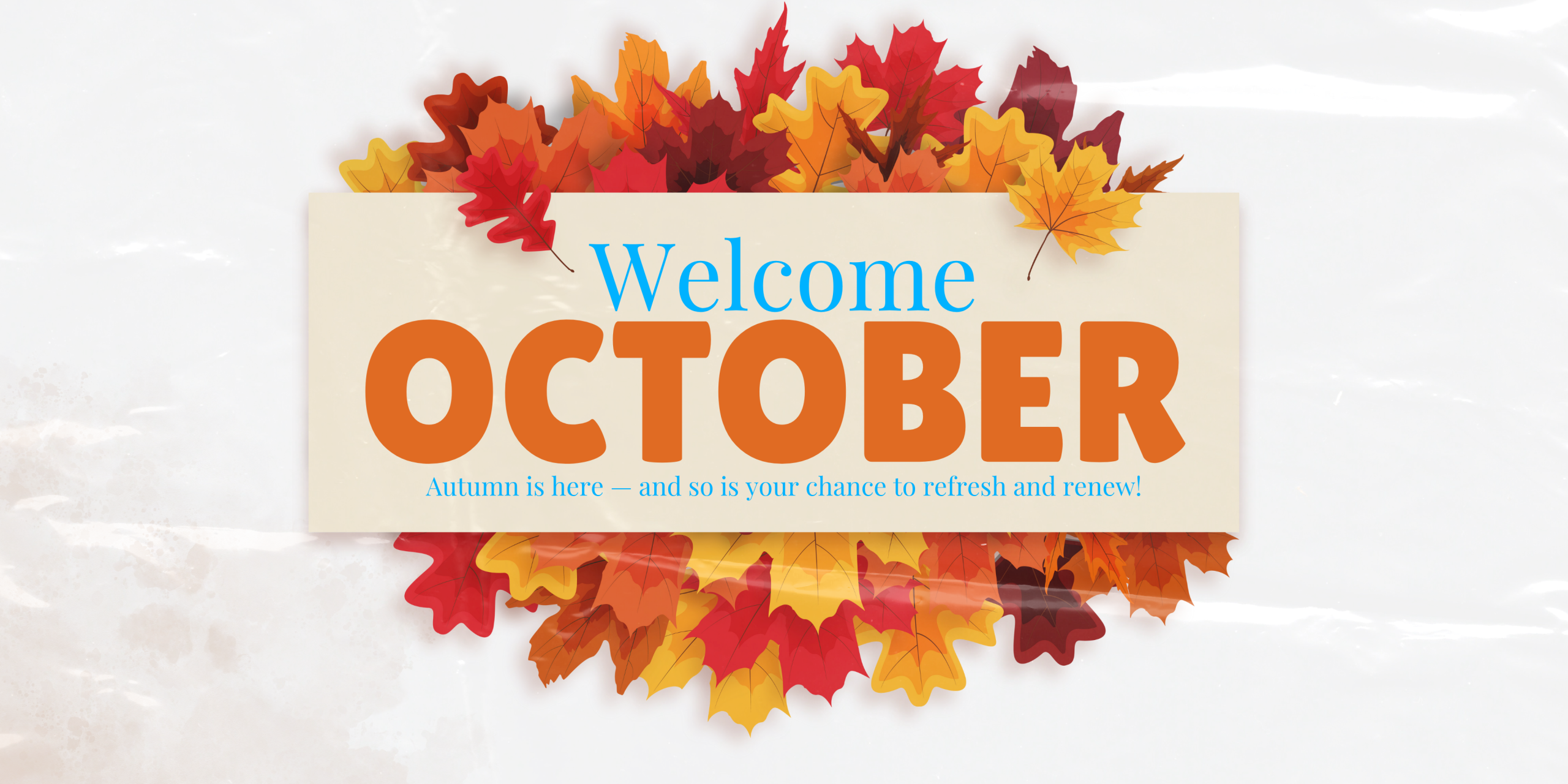 Autumn-themed Coastal Roots Hair Salon October 2025 Monthly Newsletter graphic with falling orange and yellow leaves, announcing seasonal hair care tips, promotions, scalp therapy, and Breast Cancer Awareness initiatives.